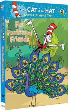 Cat in the Hat: Fun Feathered Friends